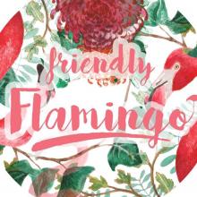Friendly Flamingo