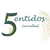 5 Sentidos Carvalhal