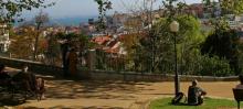 Jardim do Torel