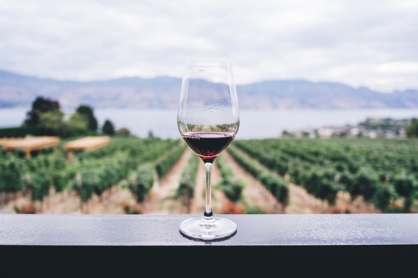 Wine Glass by Kym Ellis